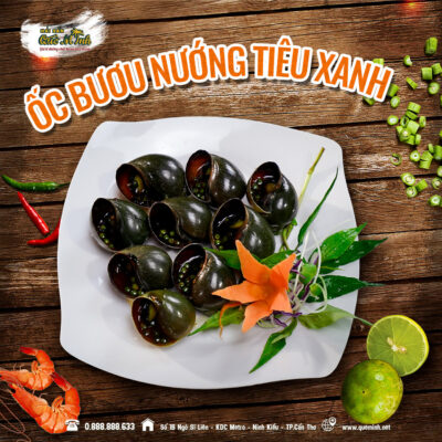 Trang Chủ 20 oc buou
